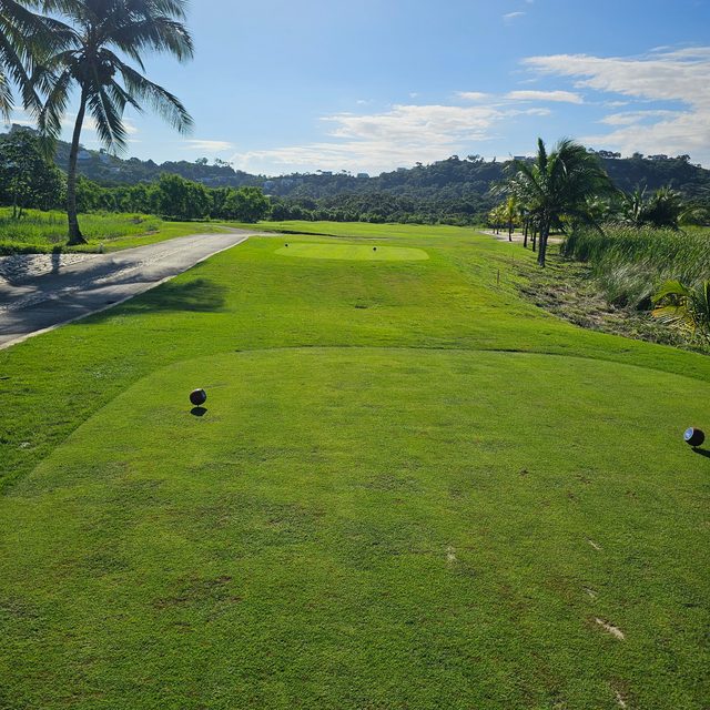 A tee box lined with palm trees under a bright sky