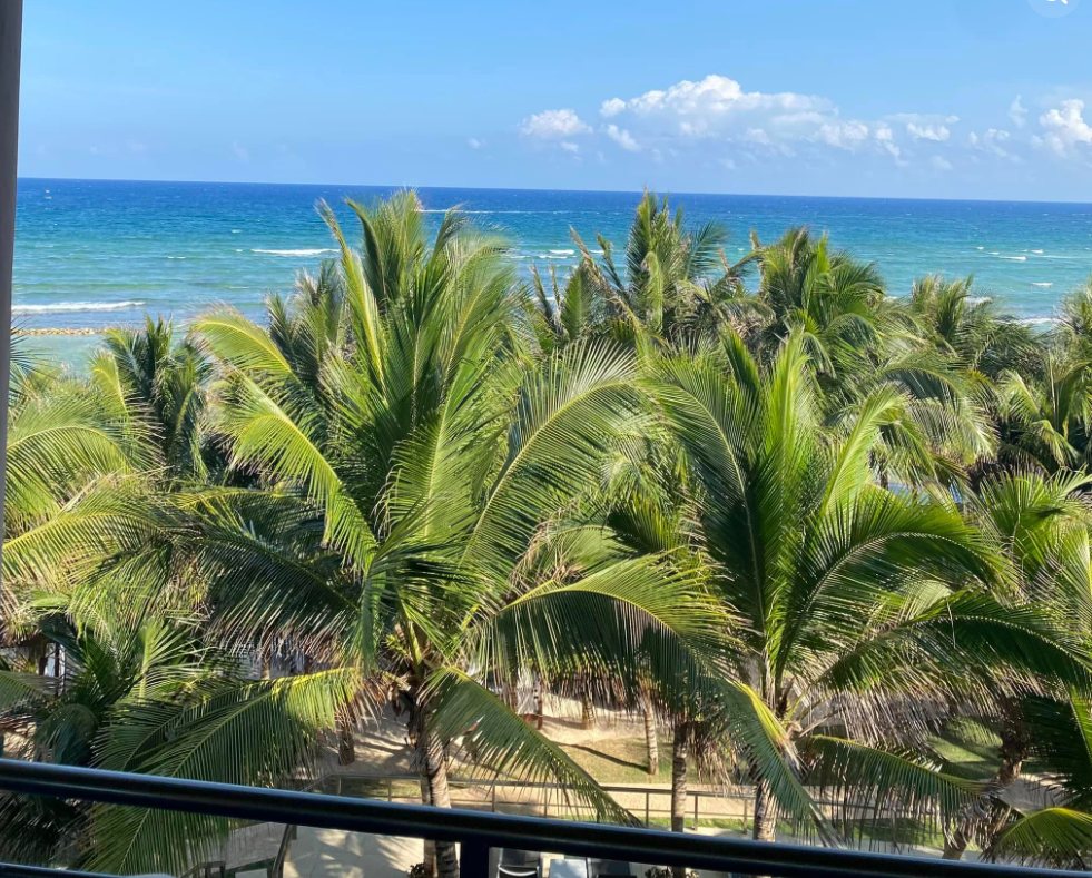 Palm trees and the Caribbean seen from a resort balcony