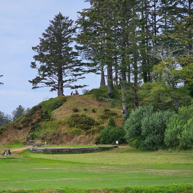 A bench and tee on top of a tree-covered hill above the course
