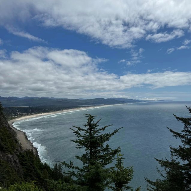A long curving beach seen from a high forested overlook